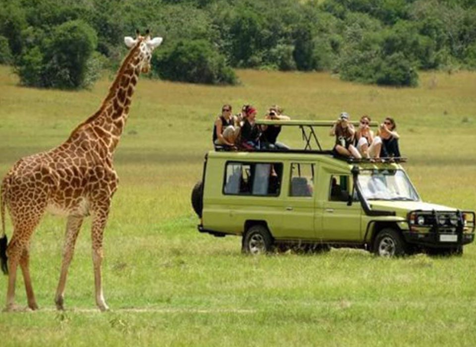Avoiding mistakes when booking