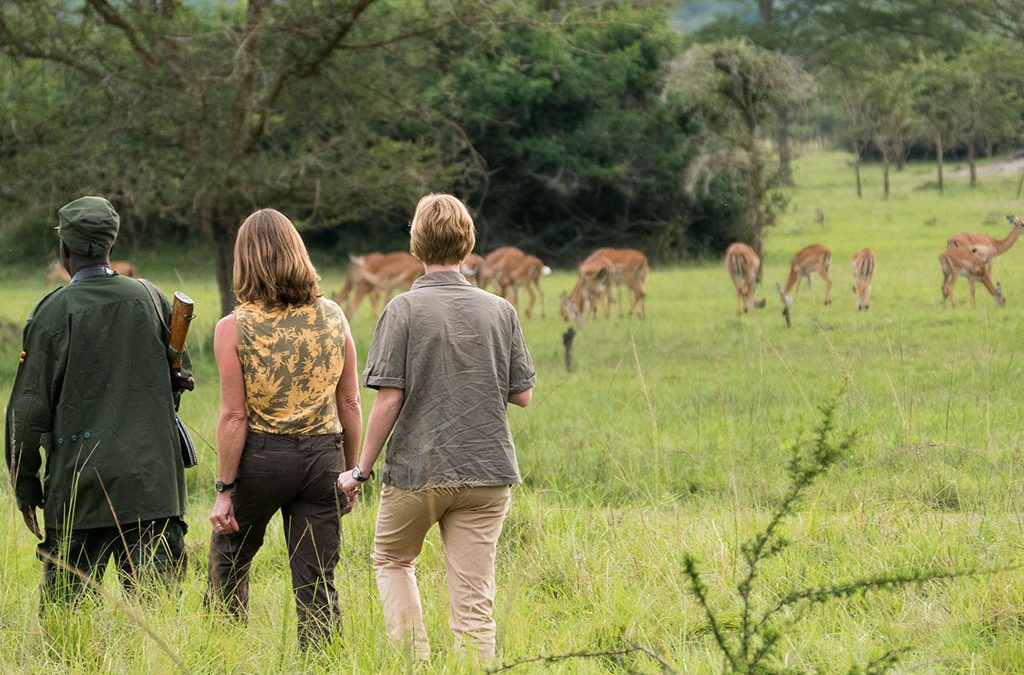Lake Mburo National Park 2025-2026 2 Nature Walks in Lake Mburo National Park