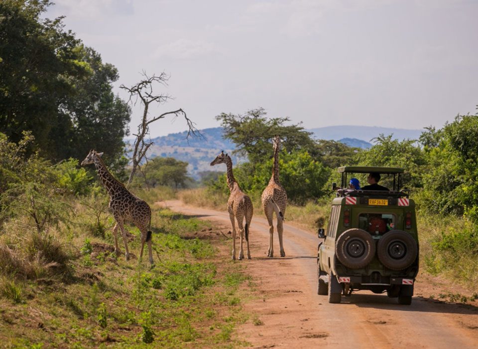 Exploring the natural wonders in Rwanda