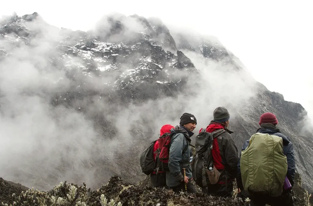 Gorilla Trekking in Uganda After Mountain Rwenzori Hiking 2 Gorilla Trekking in Uganda after Mountain Rwenzori Hiking
