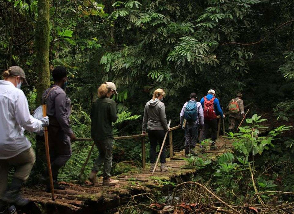 Walking Safari in Rwanda