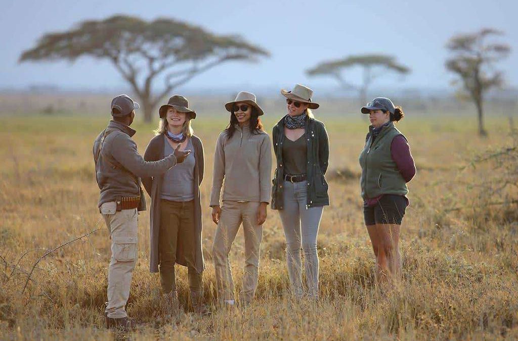 When to Visit Tanzania for Safari: Secret Seasons Tourists Miss 2 When to Visit Tanzania for Safari: Secret Seasons Tourists Miss