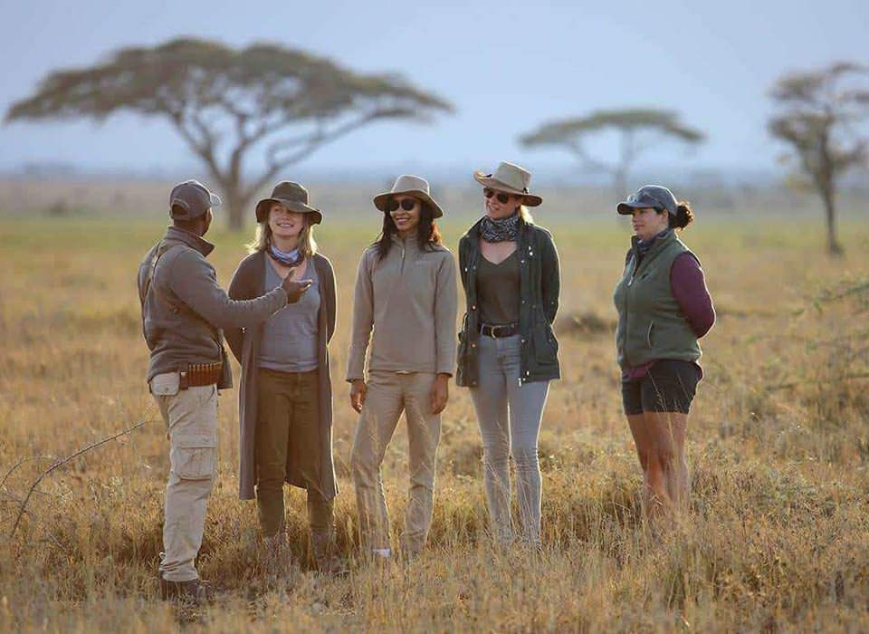When to Visit Tanzania for Safari: Secret Seasons Tourists Miss