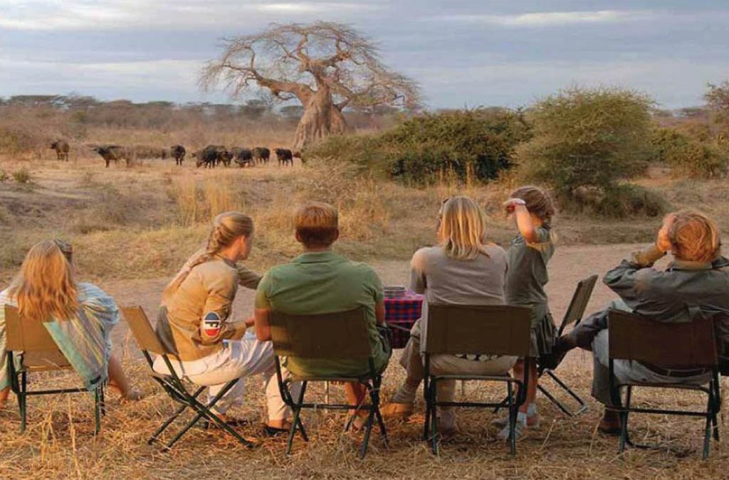 Travelers watching elephants during a Ruaha National Park safari in Tanzania