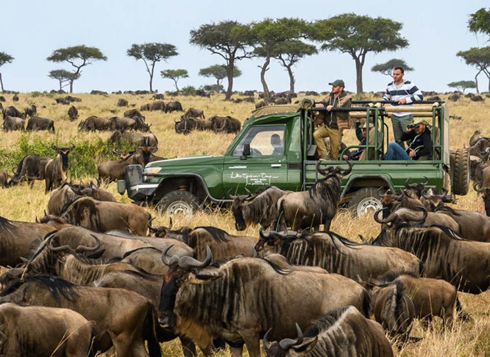 What I learned after 50 Kenya wildlife tours