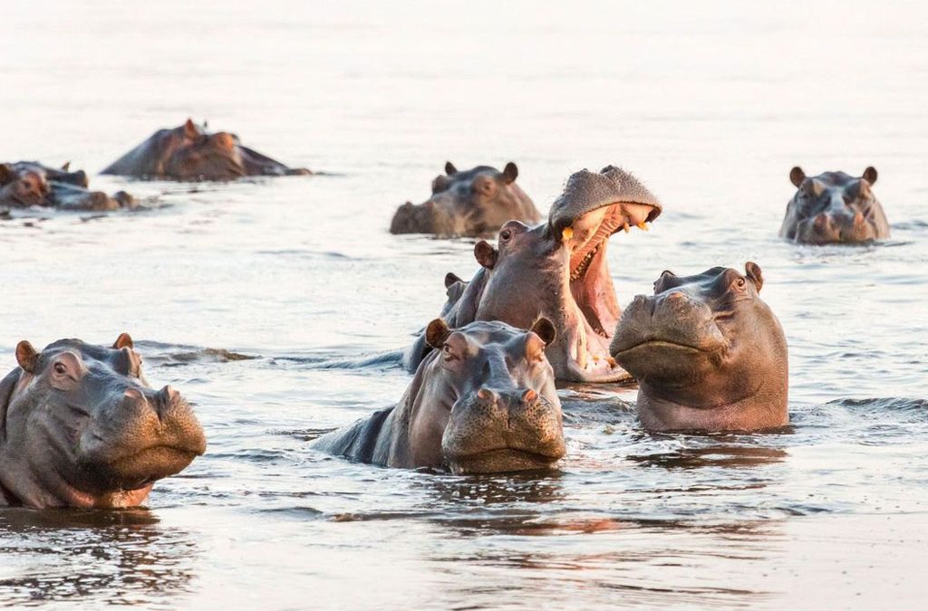 Why Lake Edward is Africa's Best Kept Wildlife Secret 2 Why Lake Edward is Africa's Best Kept Wildlife Secret