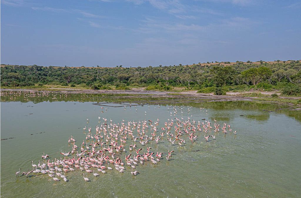 Lake Munyanyange