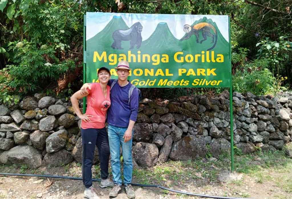 Why Does Mgahinga Have Only One Gorilla Family? 12 Hiking through Uganda's Mgahinga gorilla highlands