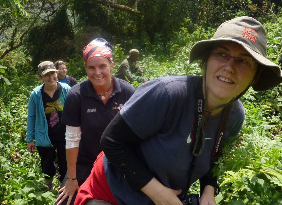 Why Uganda Gorillas Should Top Your Wildlife Bucket List