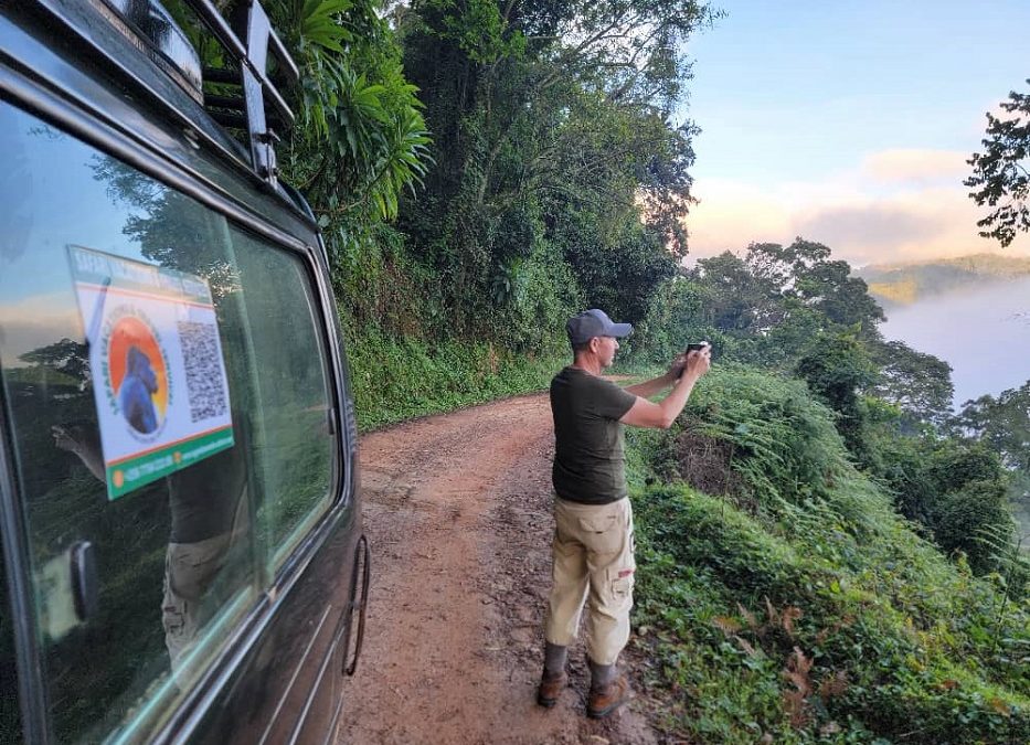 8-Day Big-5, Gorilla & Chimpanzee Safari