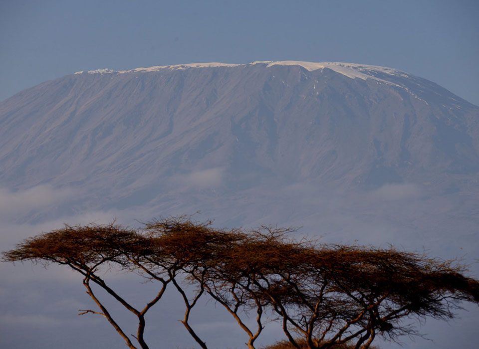 The Ultimate Three-Country Primate Tracking Adventure