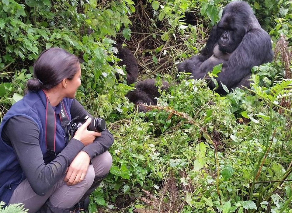 Distance from the Gorillas when Trekking