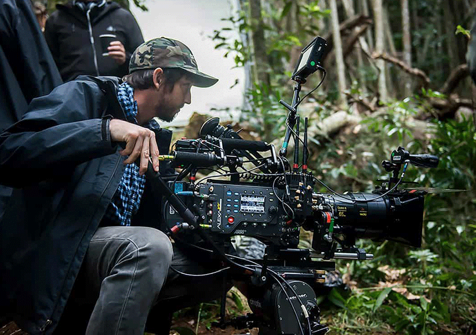 Filming Gorillas