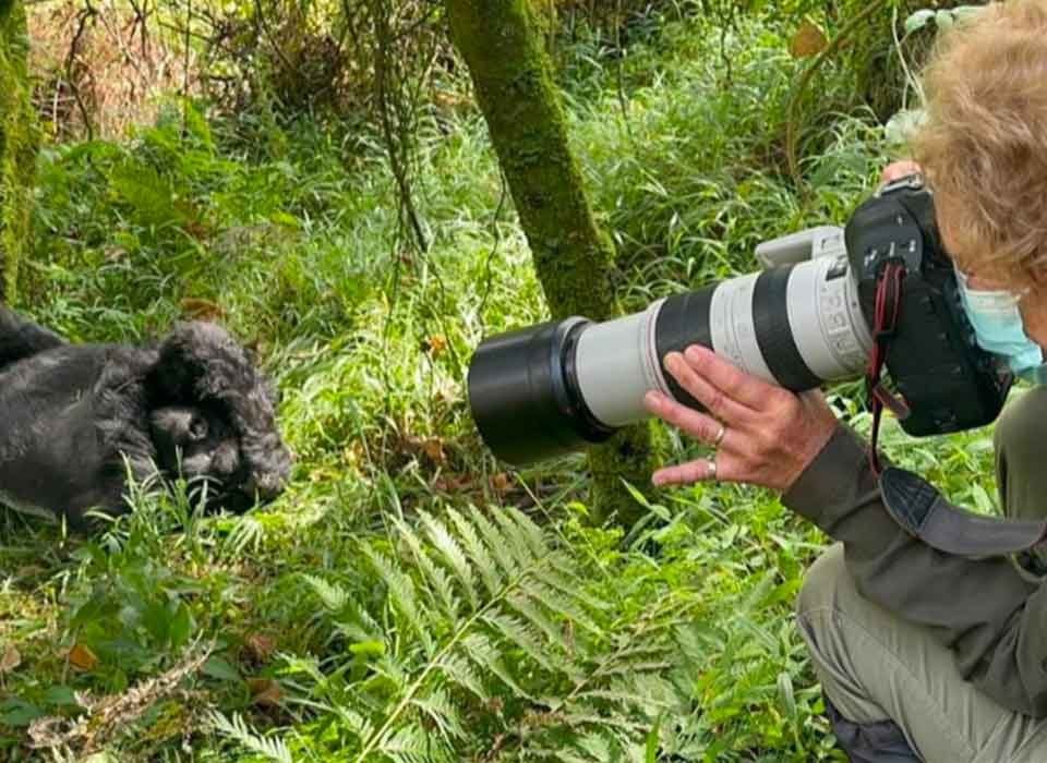 1-Day Uganda Gorilla Trekking Tour from Kigali