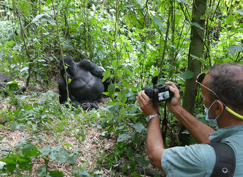 3-Day Rushaga Gorilla Habituation Experience from Kigali 10 3-Day Rushaga Gorilla Habituation Experience from Kigali