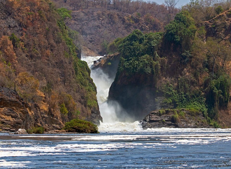 9-Day Uganda Safari Price