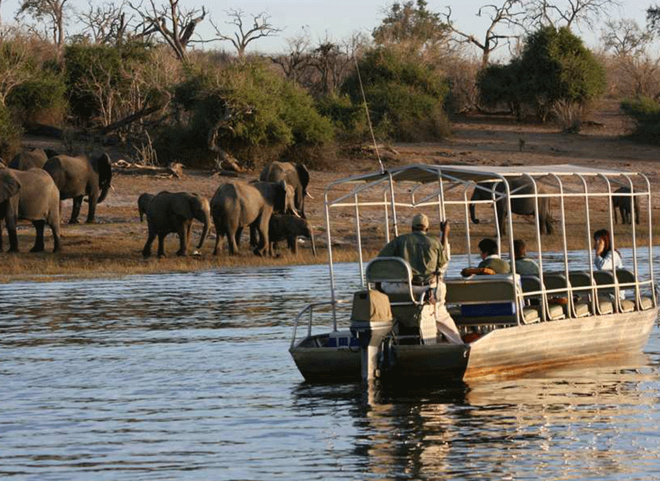 African Safari and Boat Cruise