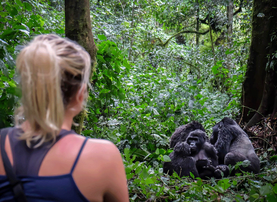 Chimpanzee and Safari Packing Guide