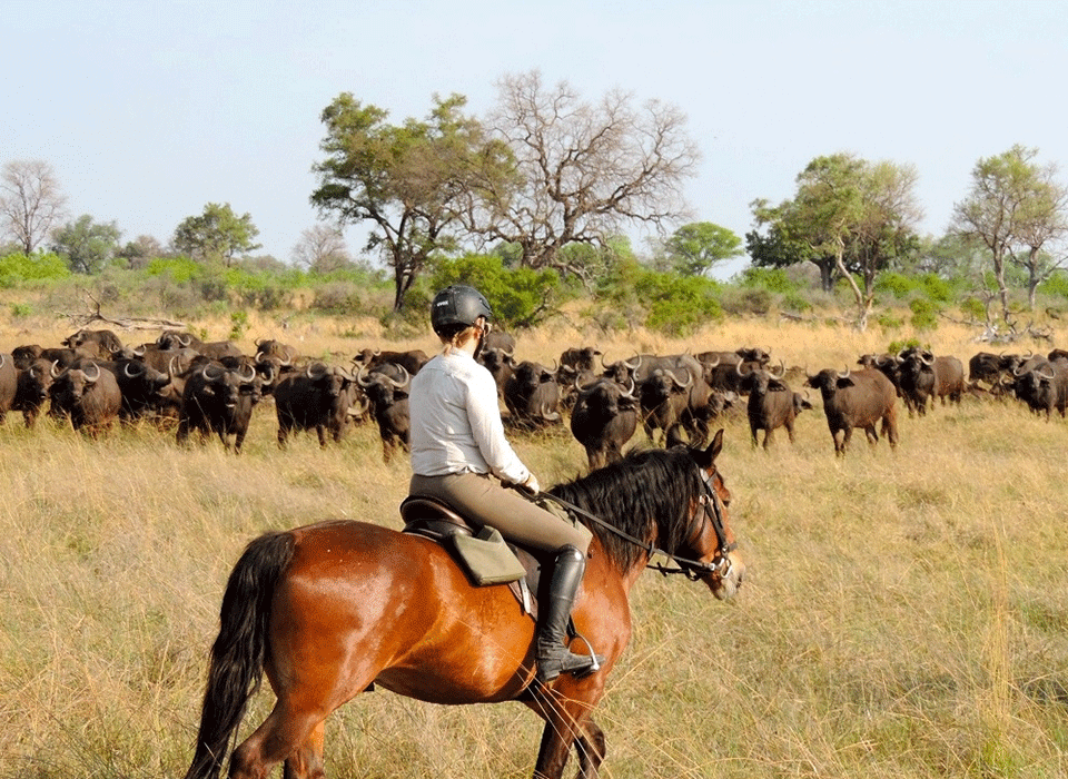 Horseback safaris in L.Mburo