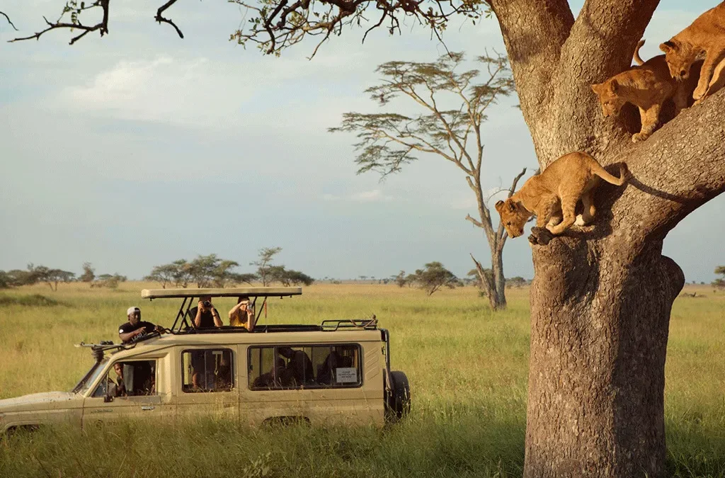 Combining Masai Mara and Serengeti; The Ultimate East African Safari Experience 2 Combining Serengeti and Masai Mara
