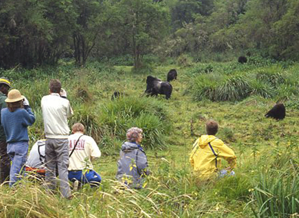 The Best Way to Plan Uganda's Mid-Range Safari