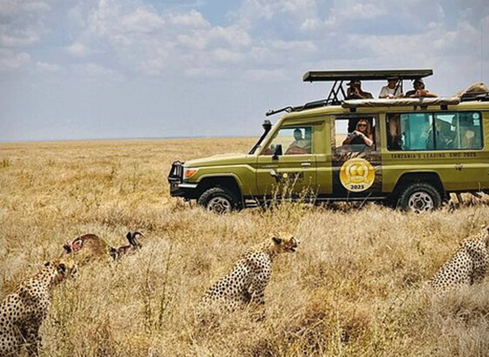 Travel Guide Ngorongoro Conservation Area