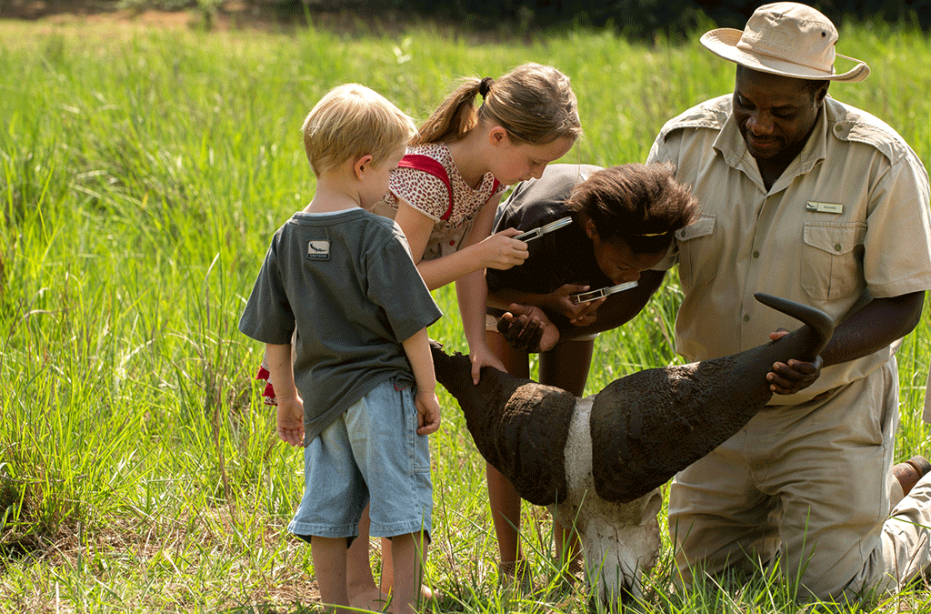 Why Kenyan Safaris Are Greater for Families