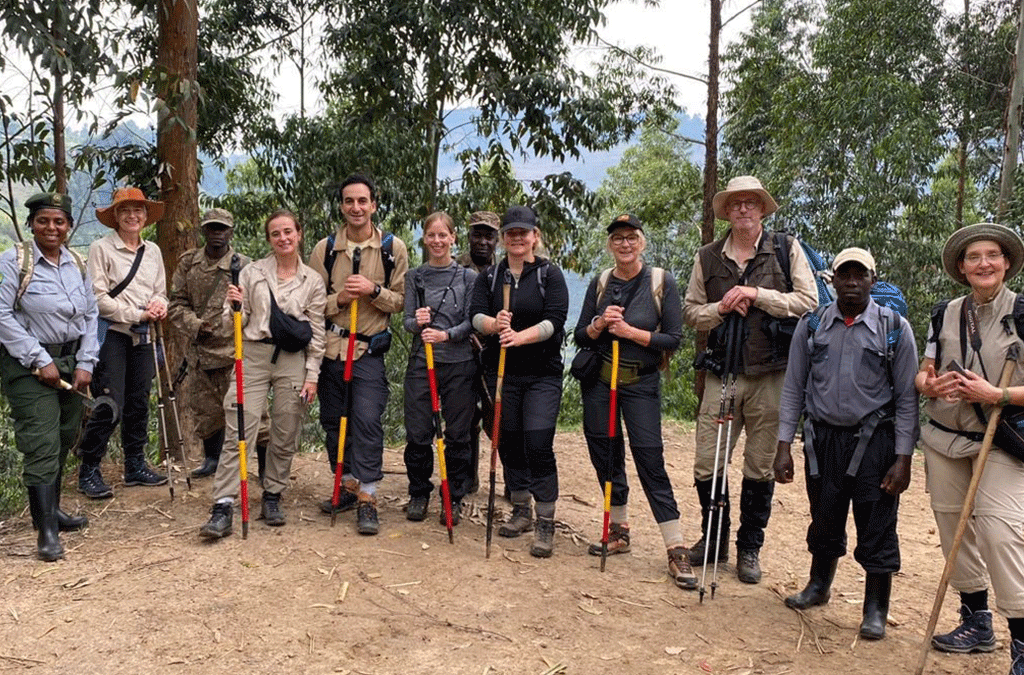 Do You Need Walking Sticks for Gorilla Trekking? 2 Walking Sticks for Gorilla Trekking
