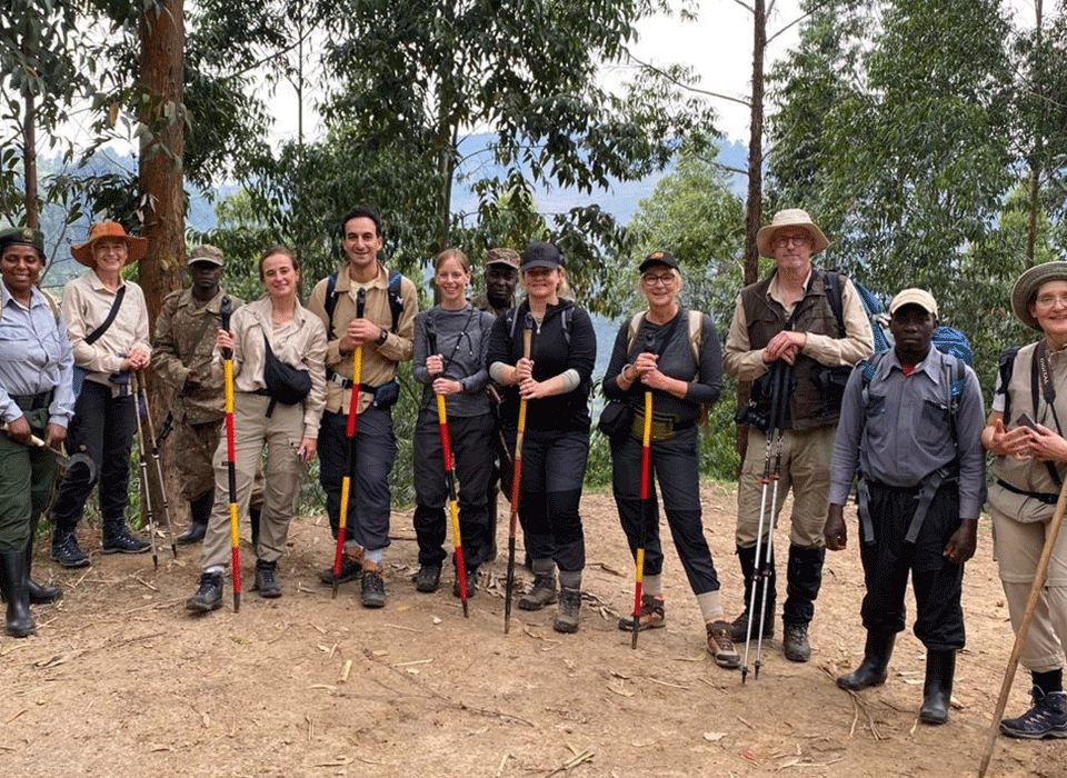 Do You Need Walking Sticks on a Gorilla Safari? 12 Do You Need Walking Sticks on a Gorilla Safari?