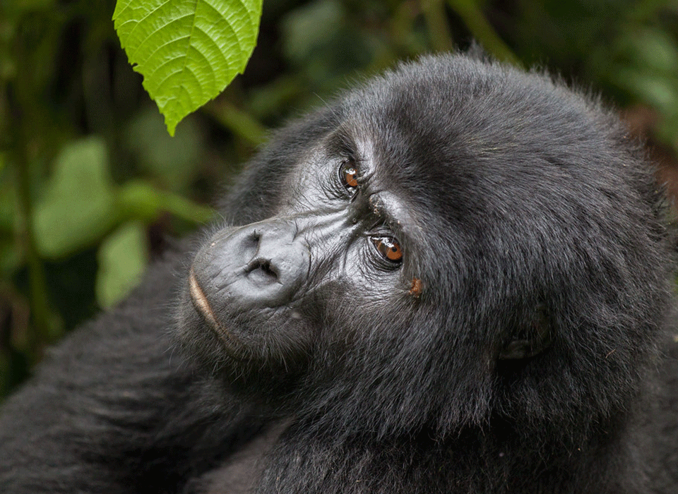 Uganda Destinations Best for First-Timers 12 Uganda Destinations Best for First-Timers
