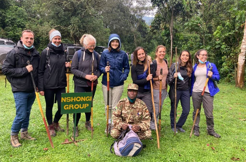 Do You Need Walking Sticks for Gorilla Trekking? 4 Walking Sticks