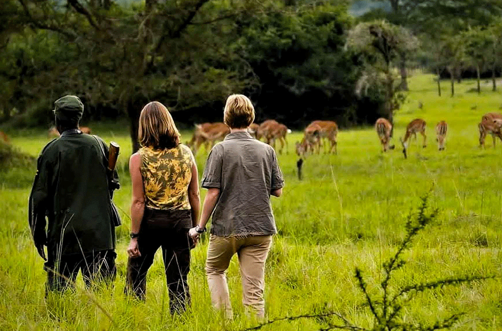 Walking Safaris in Lake Mburo