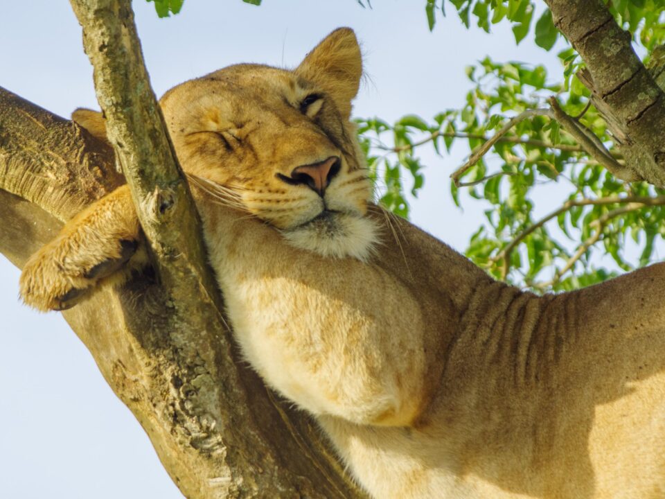 Best Uganda destinations for first-time visitors