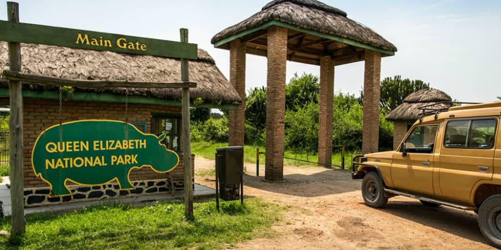 Guided vs Self-Guided – Which Is Right for You? 8 Queen Elizabeth National Park