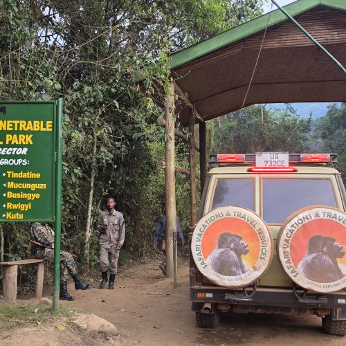 4-Day Double Gorilla Safari