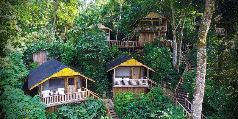 Forest lodge cottages surrounded by lush rainforest in Buhoma near Bwindi Impenetrable National Park, Uganda