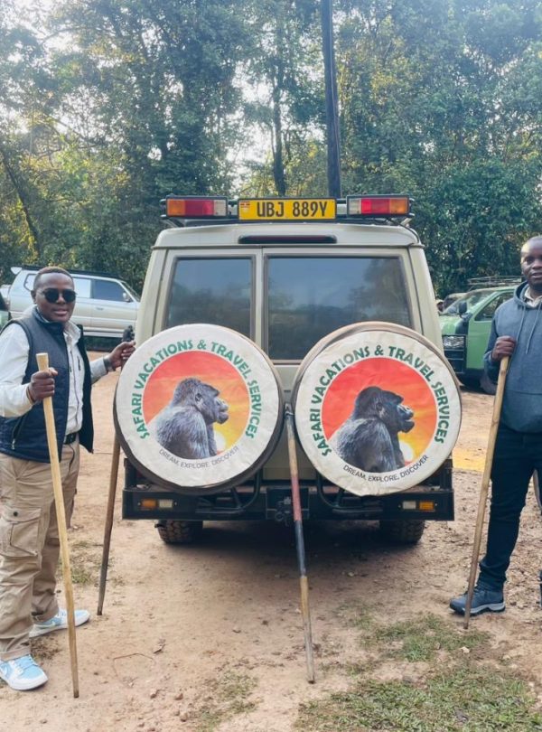 1-Day Gorilla tour from Kigali