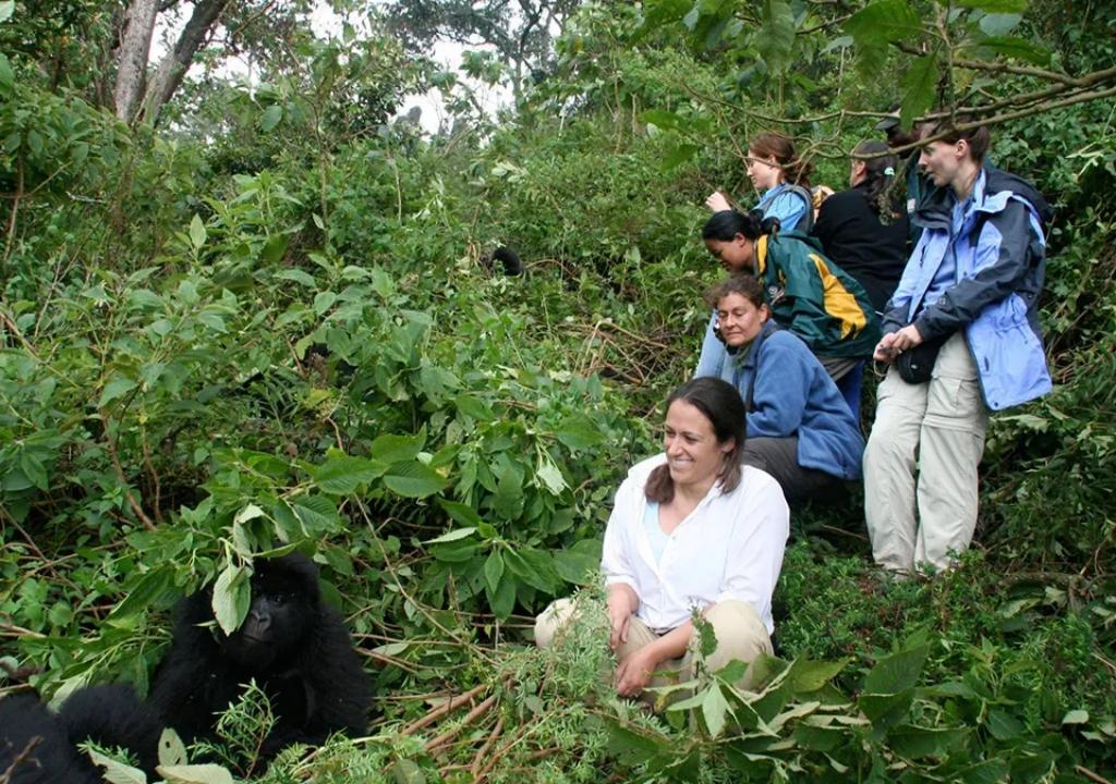 Is Uganda a Good Idea for a Primate Safari? 4 Travelers trekking gorillas in Bwindi Forest