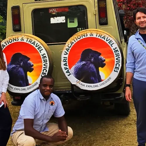 Private 4x4 safari vehicle for your 4 Days Luxury Gorilla trekking & Golden Monkey safari in Rwanda
