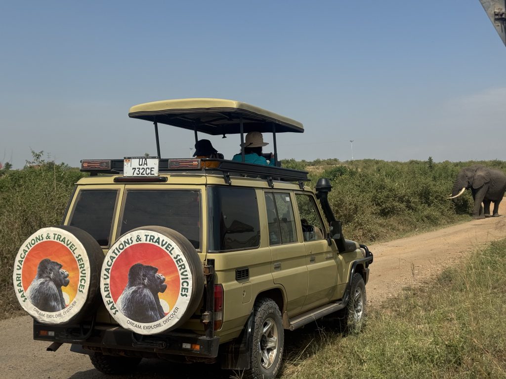 game drive