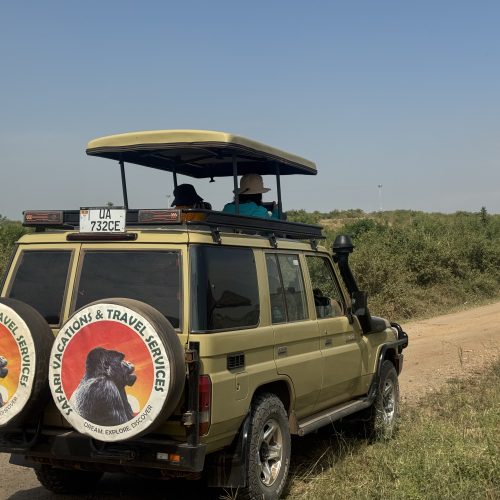 game drive