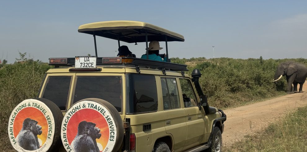 game drive