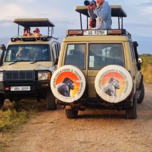Wildlife and beautiful savannah scenery in Queen Elizabeth National Park during a three-day Uganda safari featuring game drives and a boat cruise along the Kazinga Channel.