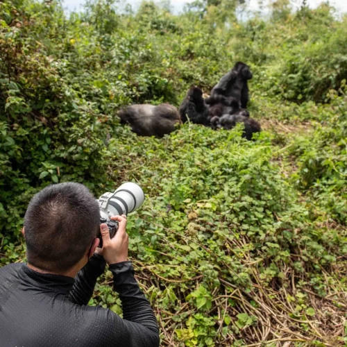 10-Day Uganda Gorillas, Chimpanzees and Big Five Safari
