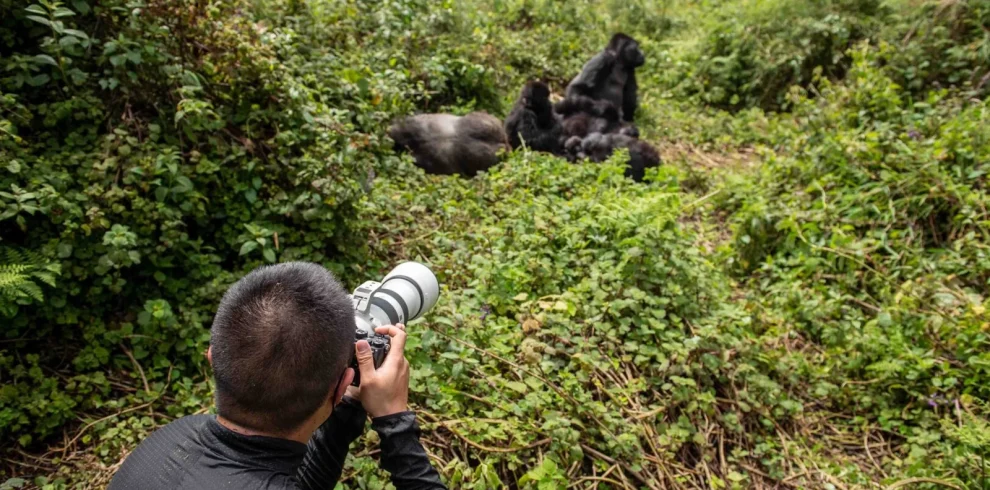 10-Day Uganda Gorillas, Chimpanzees and Big Five Safari