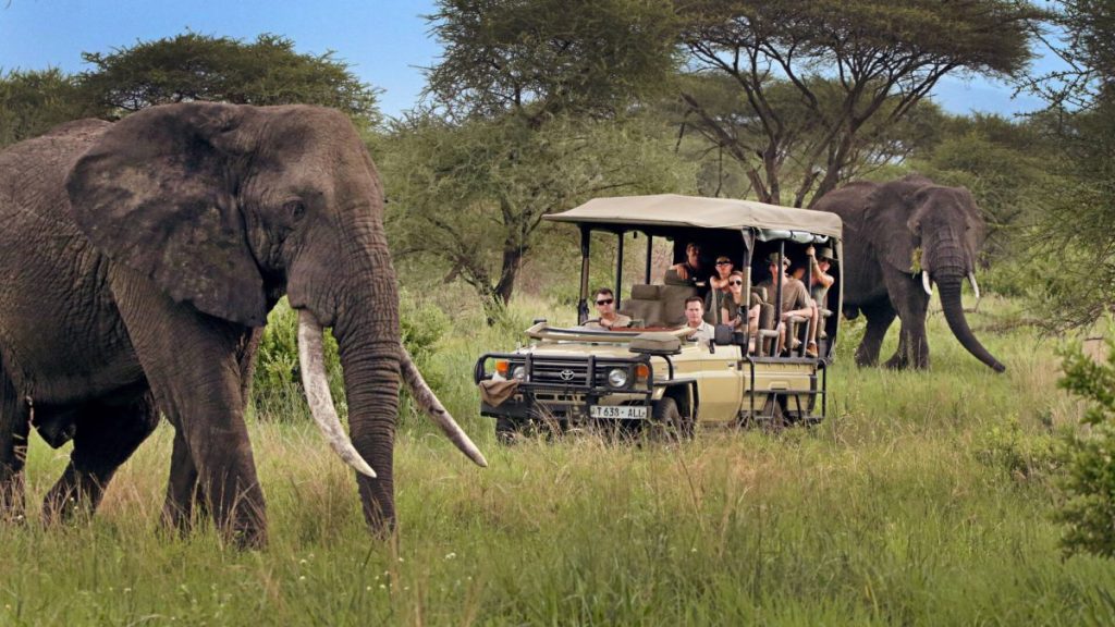 Tarangire Luxury Safari